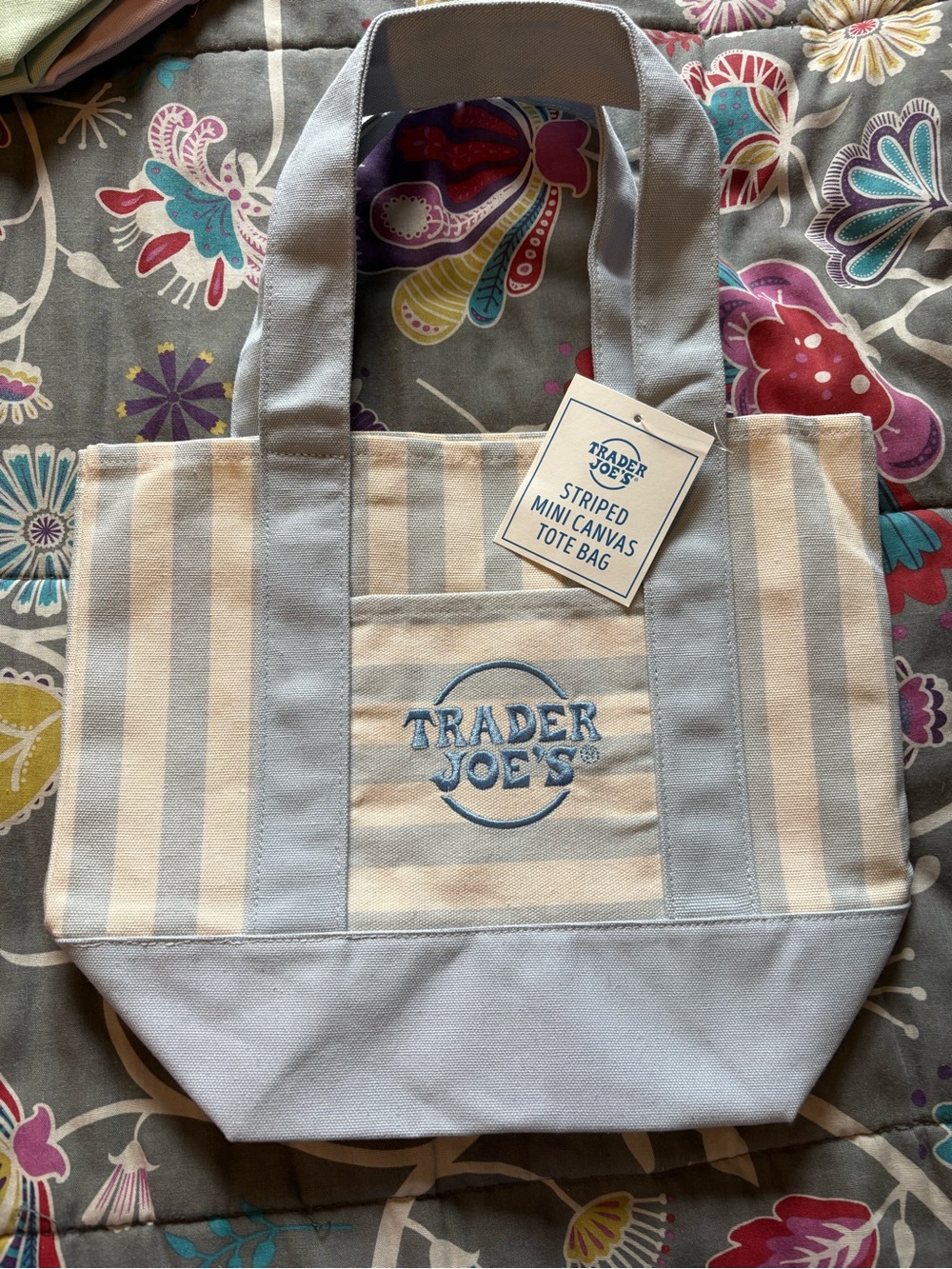 Trader Joe's Striped Mini Canvas Tote Bag - Light Blue & Cream